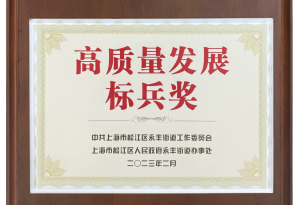 上海龍勝榮獲2022年度高質(zhì)量發(fā)展標(biāo)兵獎